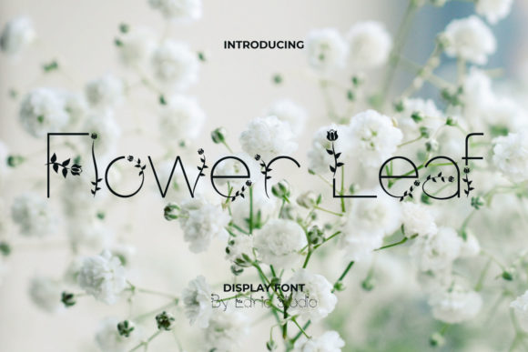 Flower Leaf: A Fresh Display Font for Editorial Design