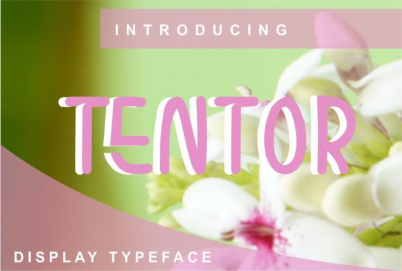 Tentor: A Vibrant Display Font for Digital Branding