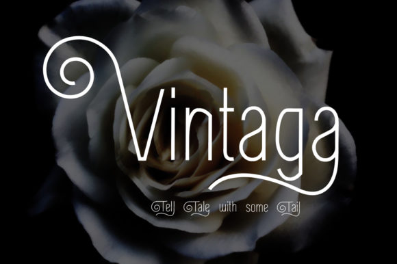 Vintaga: A Delicate Retro Display Font for Digital Branding